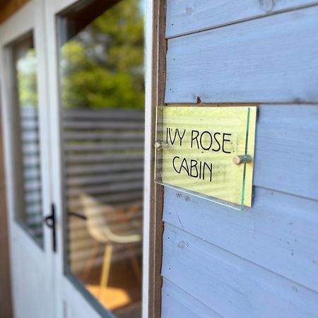 Ivy Rose Cabin No Hot Tub Bude Eksteriør billede